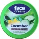 BIOFRESH - FACE CREAM Крем для лица Увлажняющий Огурец 100мл (для всех типов кожи)