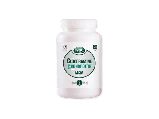 Глюкозамин 750мг Хондроитин 600мг МСМ 300мг №60 таб.
