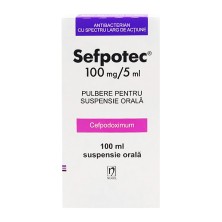Сефпотек 100мг/5 мл 100мл порошок д/пригот. сусп.(Цефподоксим)