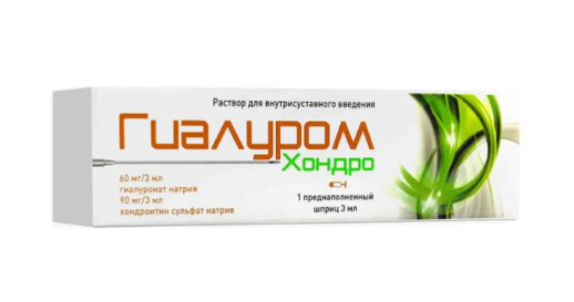 Гиалуром Хондро 60мг+90мг 3мл №1шприц (Гиалуронат натрия +Хондроитин)