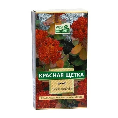 Красная щетка корневища с корнями 30г