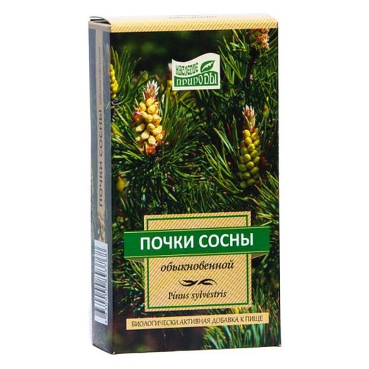 Сосны обыкновенной почки 50г