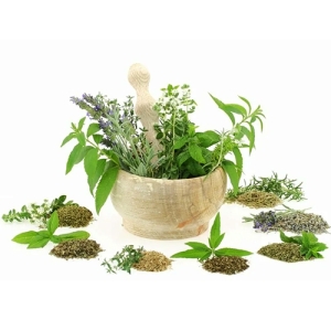 Лекарственные травы